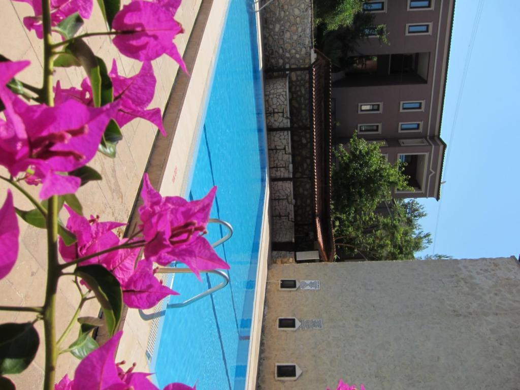 Apart Hotel 3T 卡尔坎 外观 照片